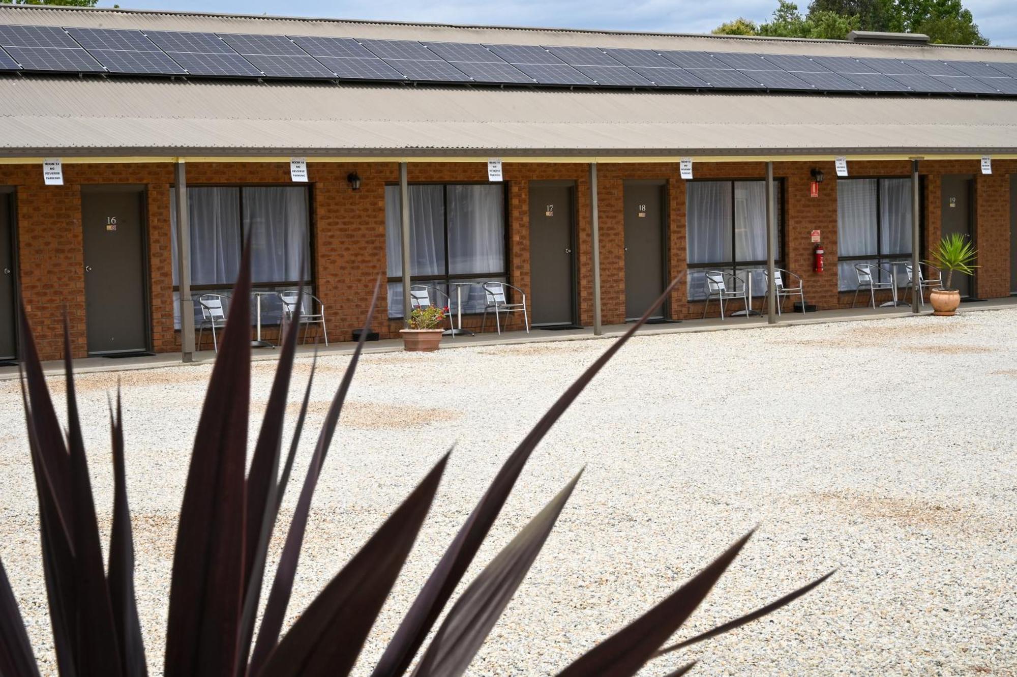 Holbrook Town Centre Motor Inn Εξωτερικό φωτογραφία
